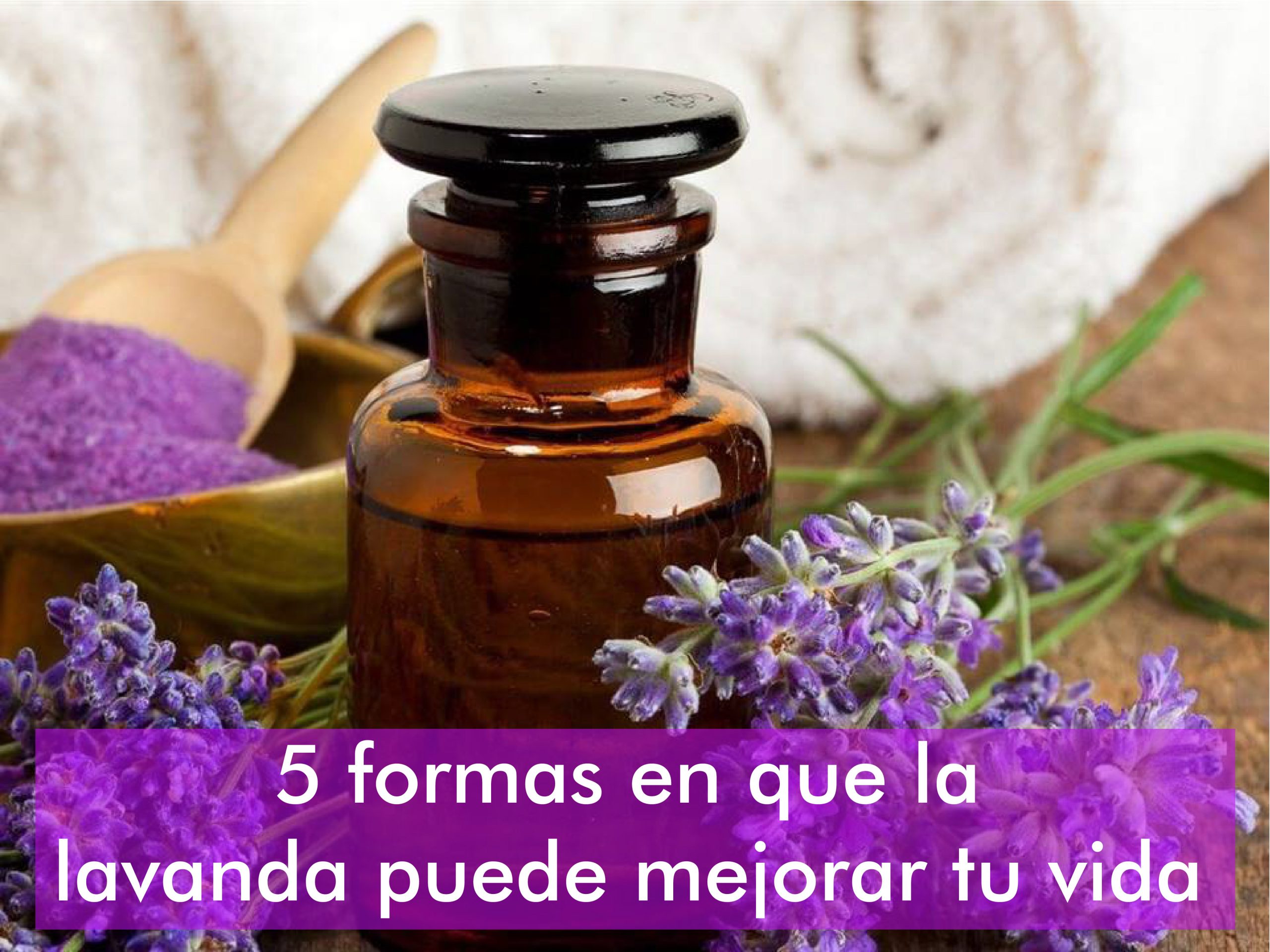 5 formas en que la lavanda puede mejorar tu vida