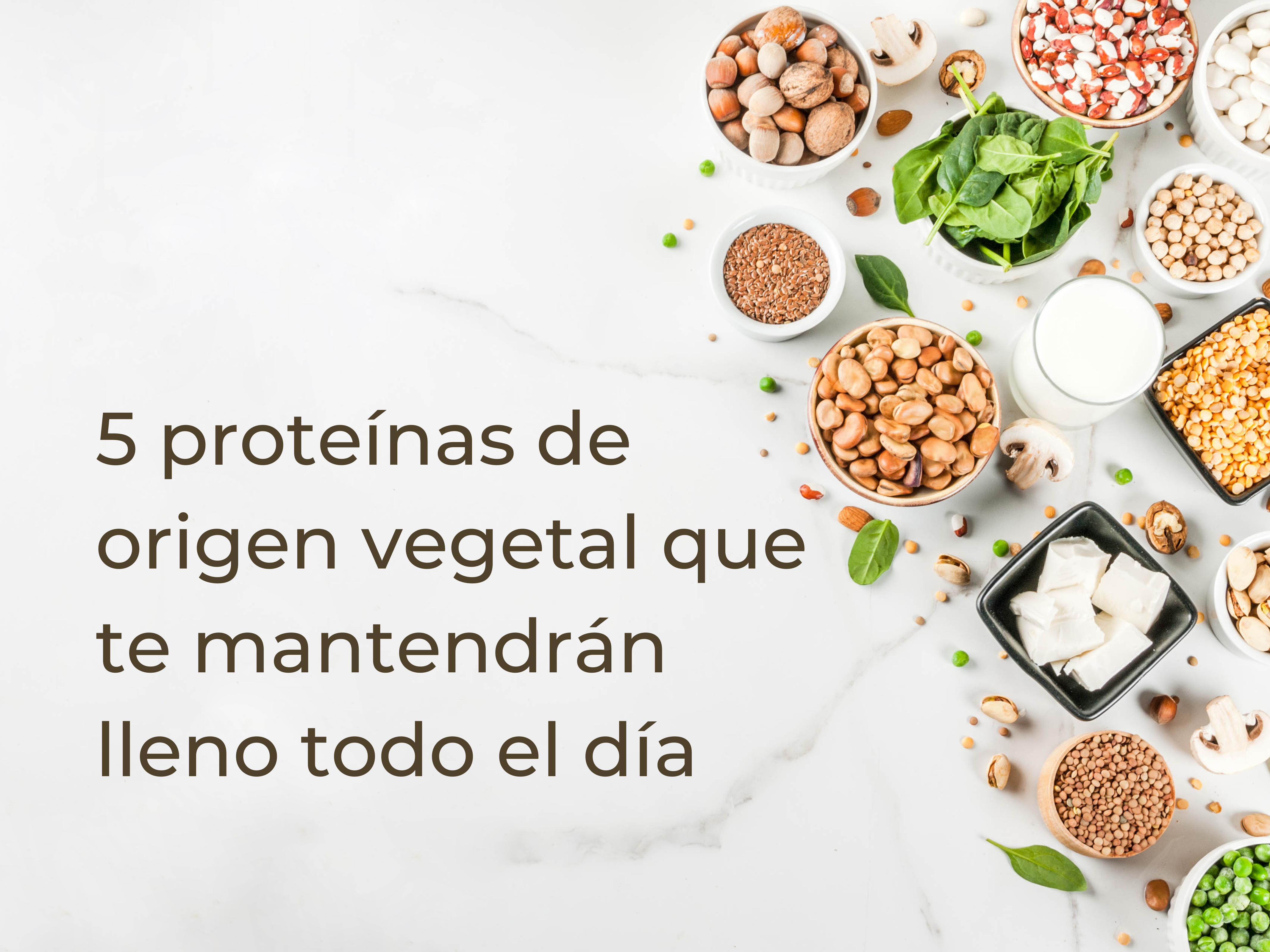 5 proteínas de origen vegetal que te mantendrán lleno todo el día