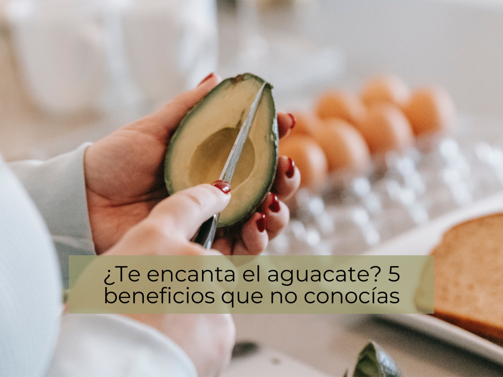 ¿Te encanta el aguacate? 5 beneficios que no conocías