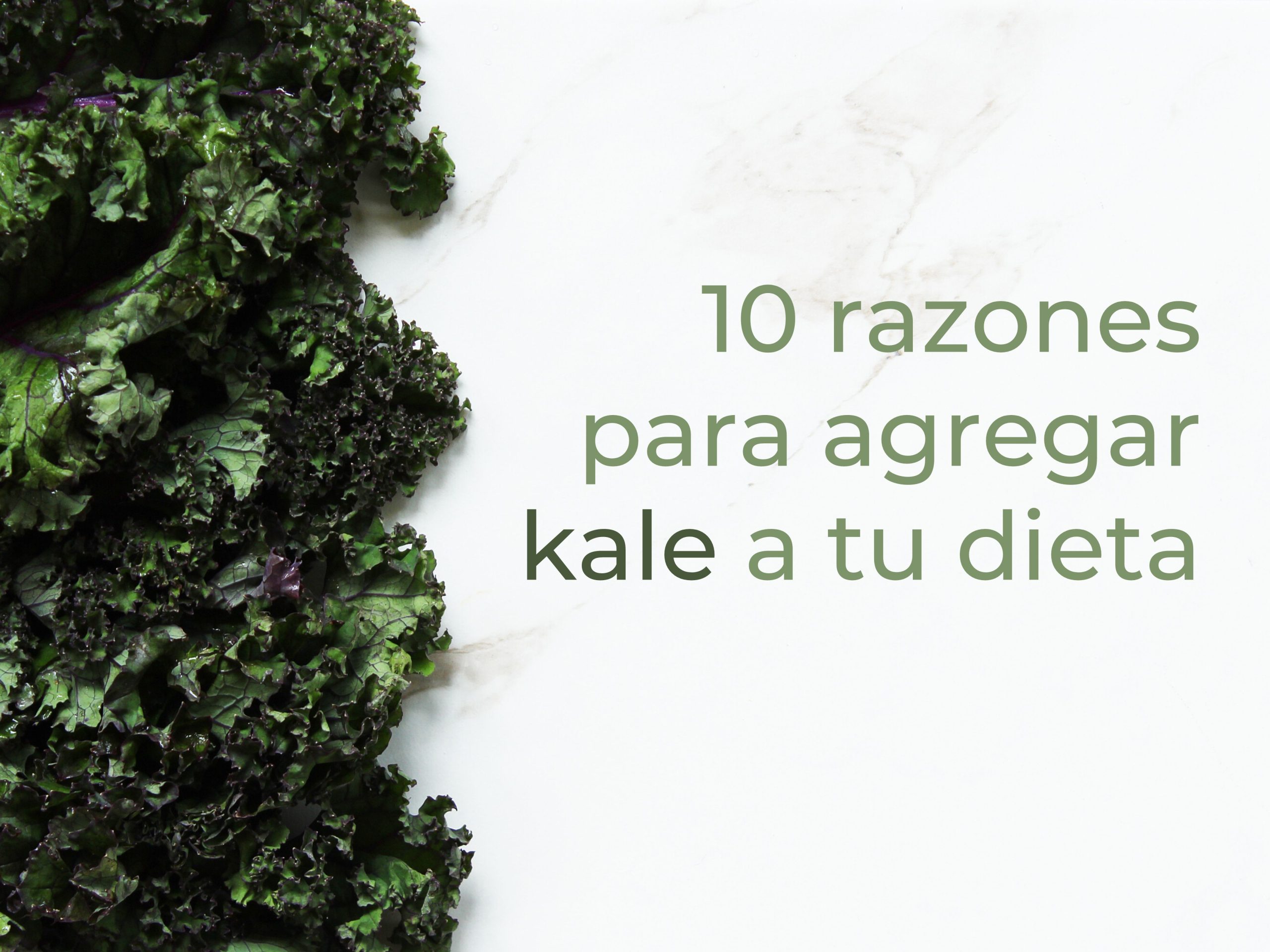 10 razones para agregar kale a tu dieta