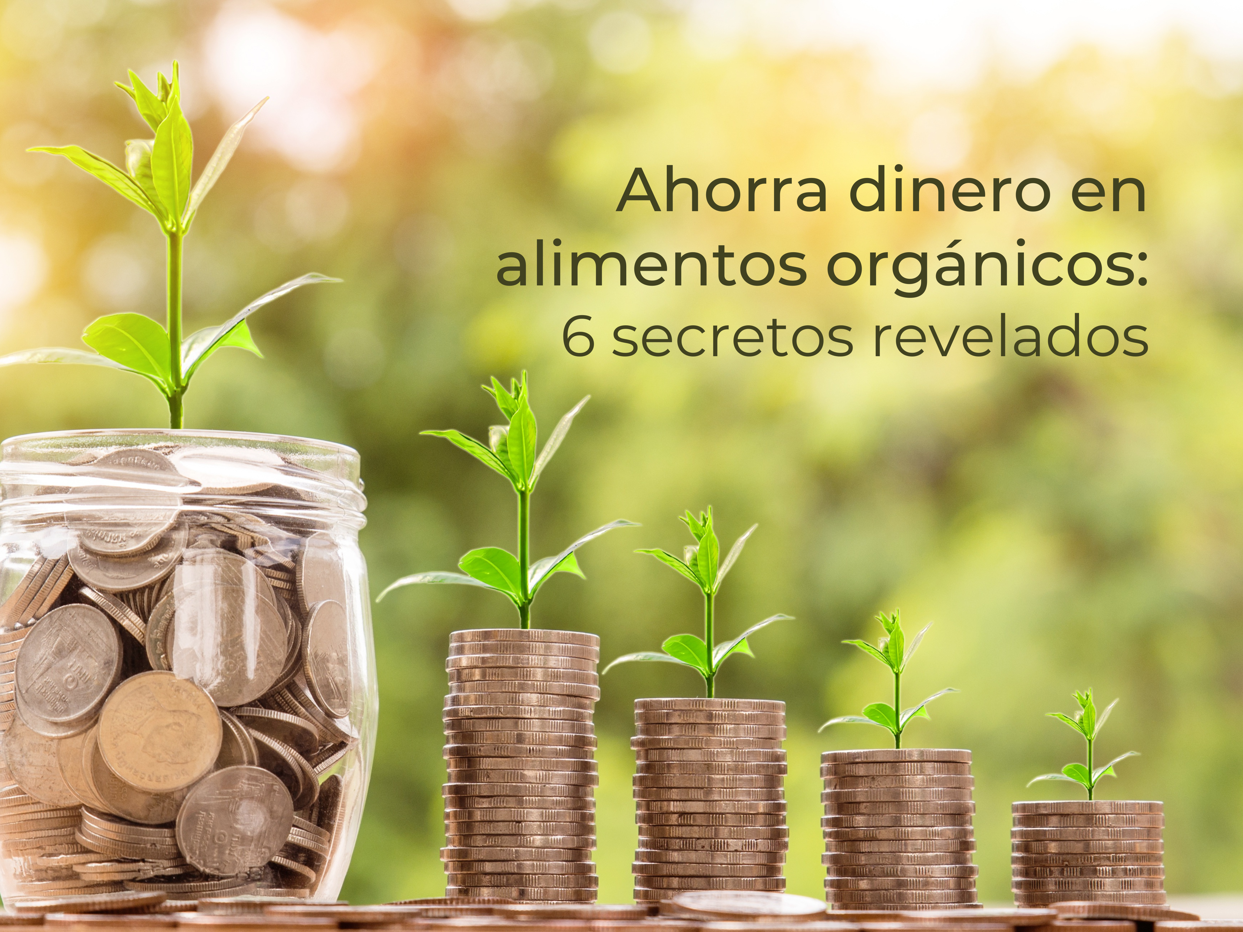 Ahorra dinero en alimentos orgánicos: 6 secretos revelados