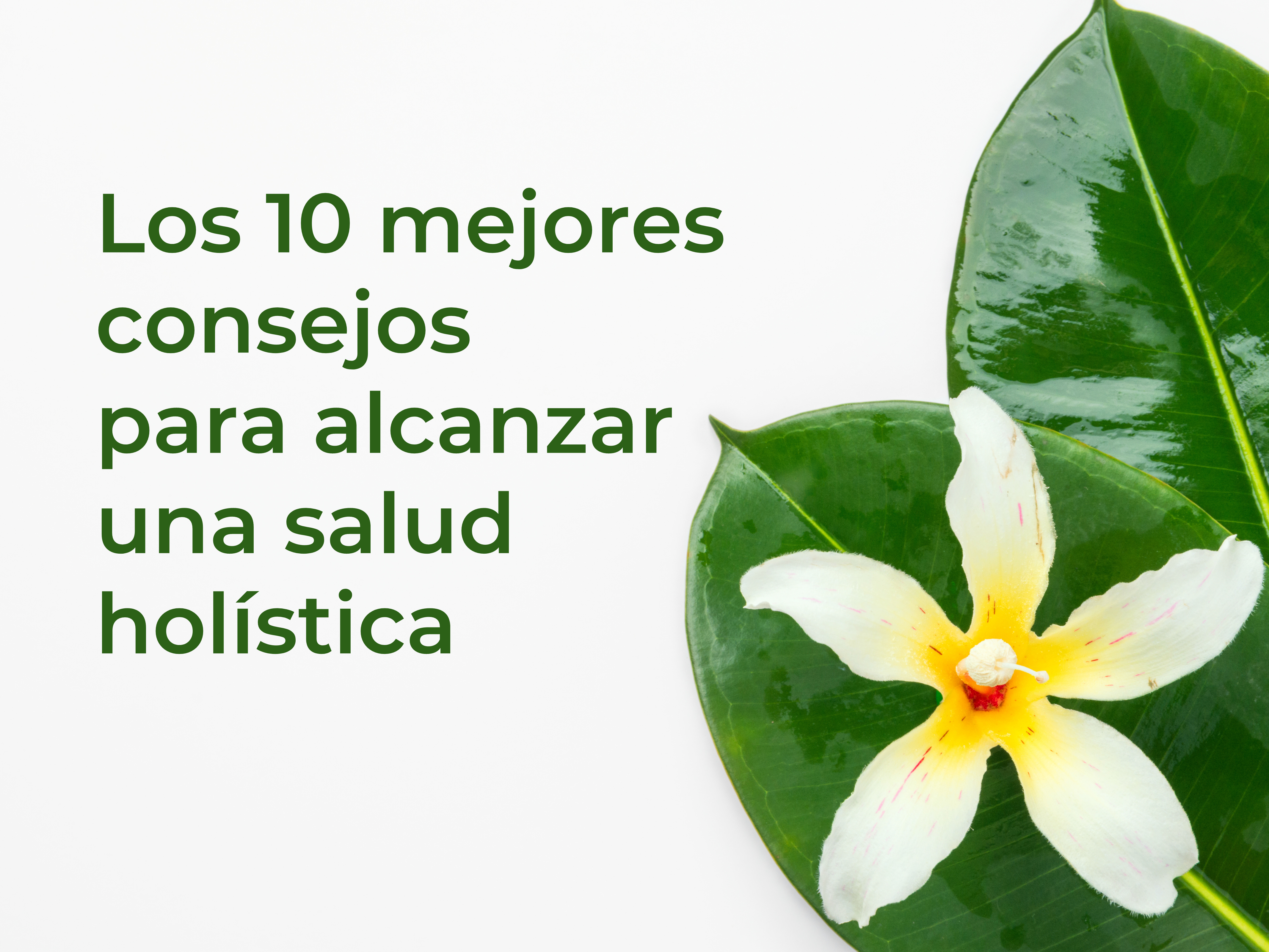 Los 10 mejores consejos para alcanzar una salud holística