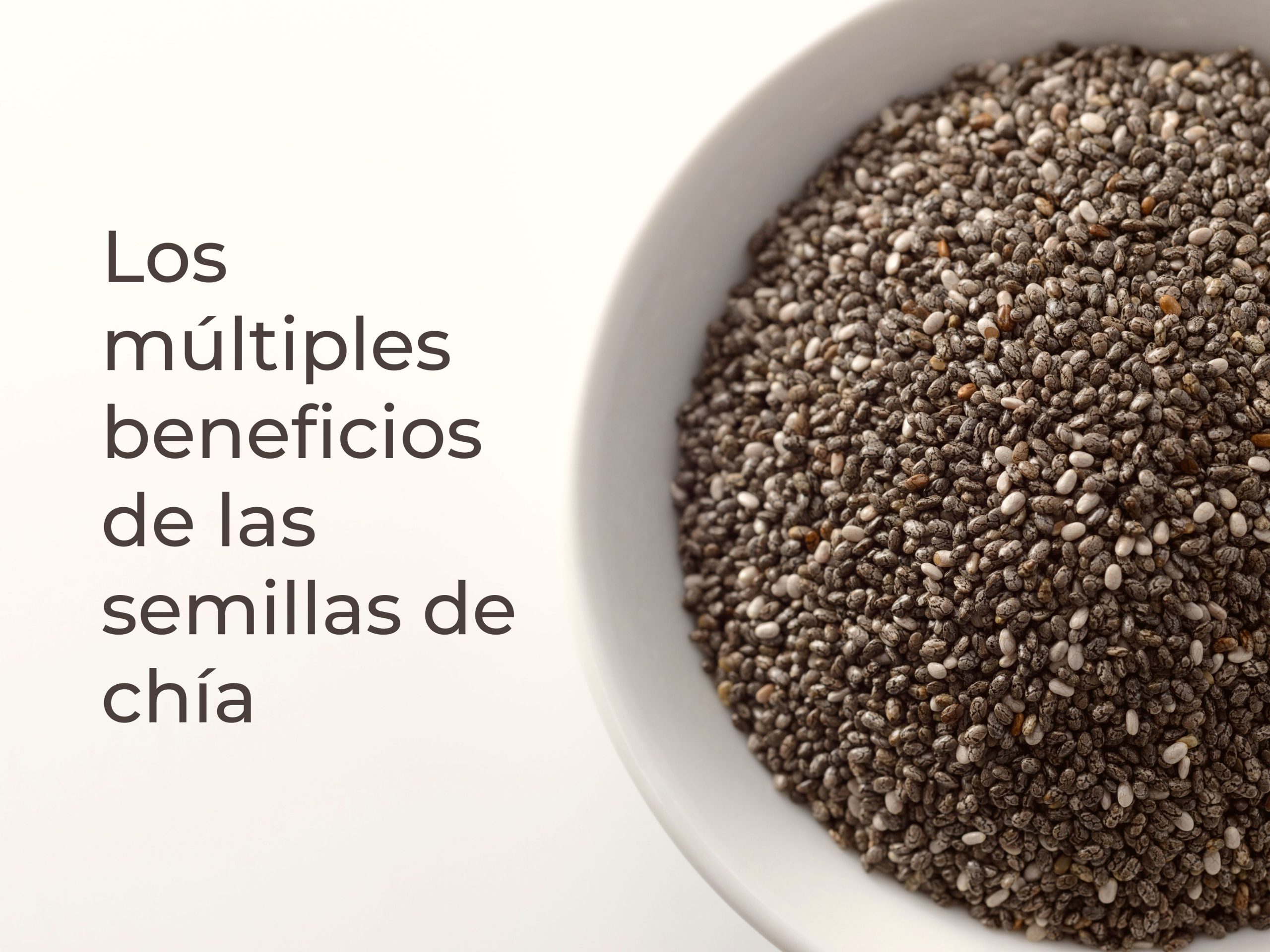 Los múltiples beneficios de las semillas de chía