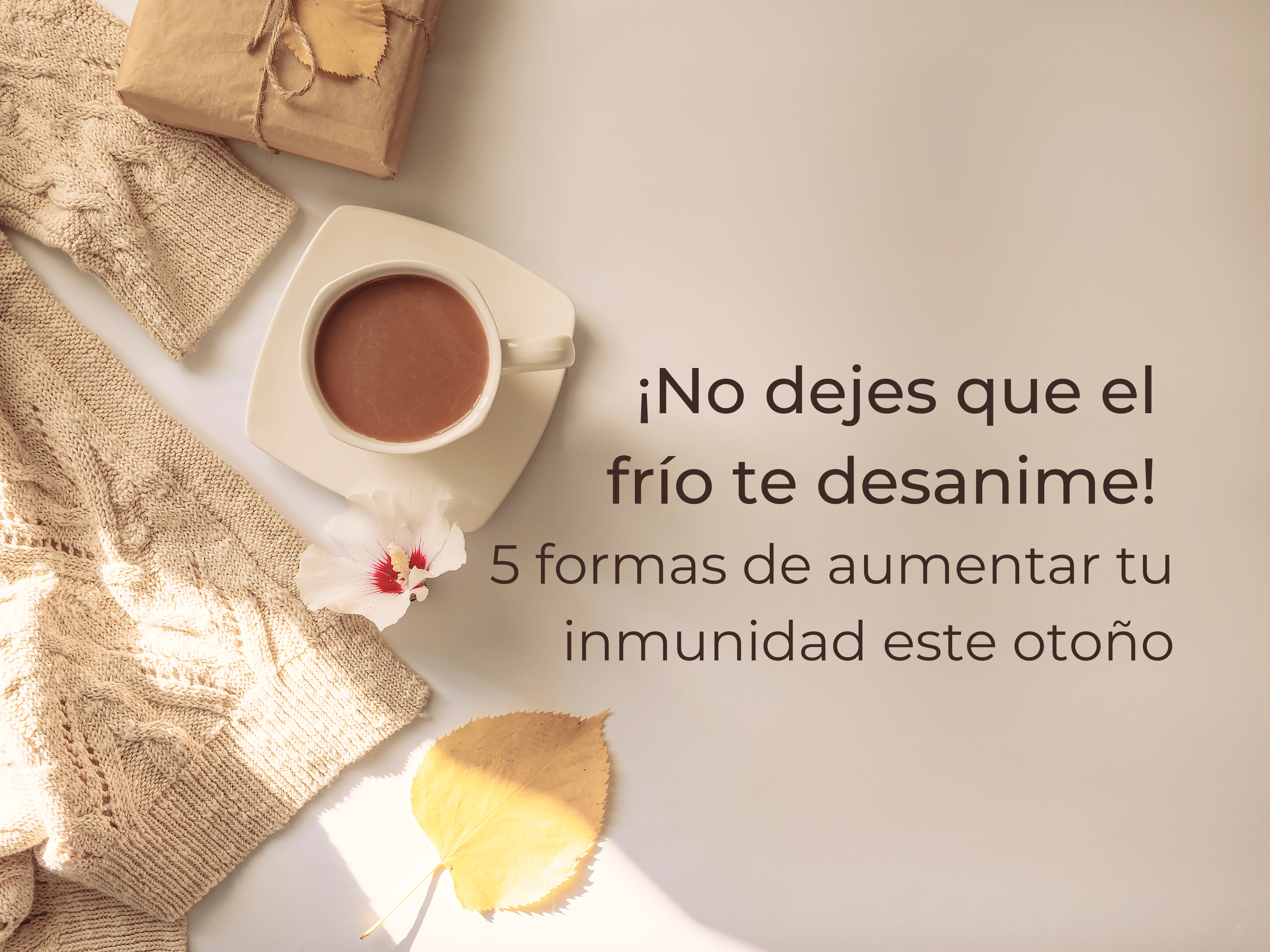 ¡No dejes que el frío te desanime! 5 formas de aumentar tu inmunidad este otoño