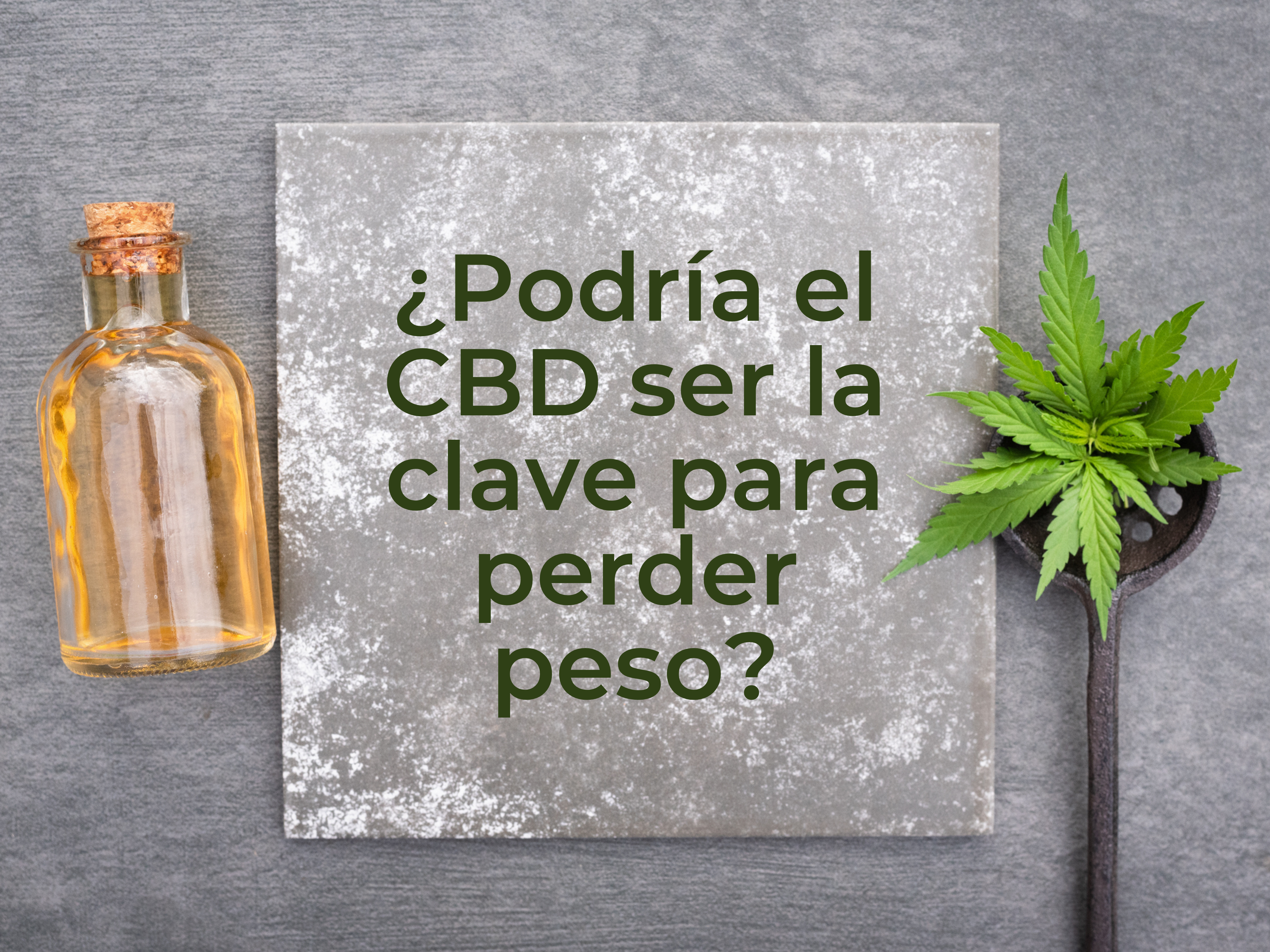 ¿Podría el CBD ser la clave para perder peso?