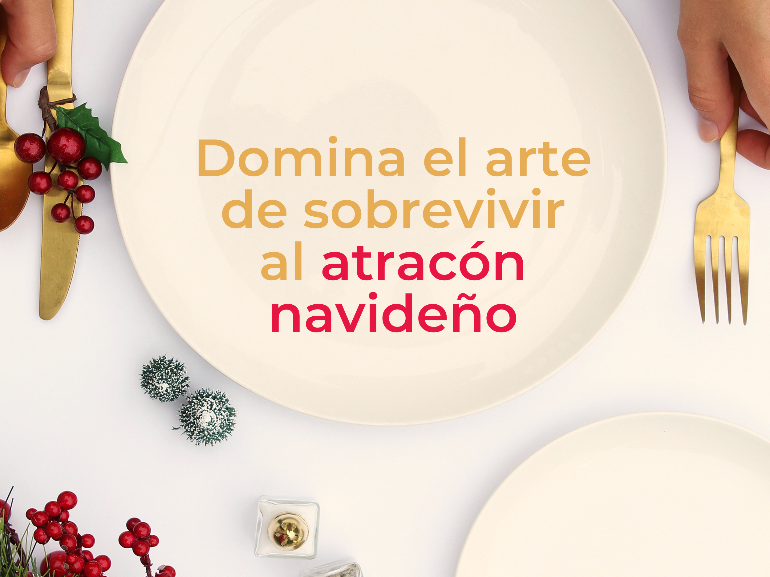 Domina el arte de sobrevivir al atracón navideño