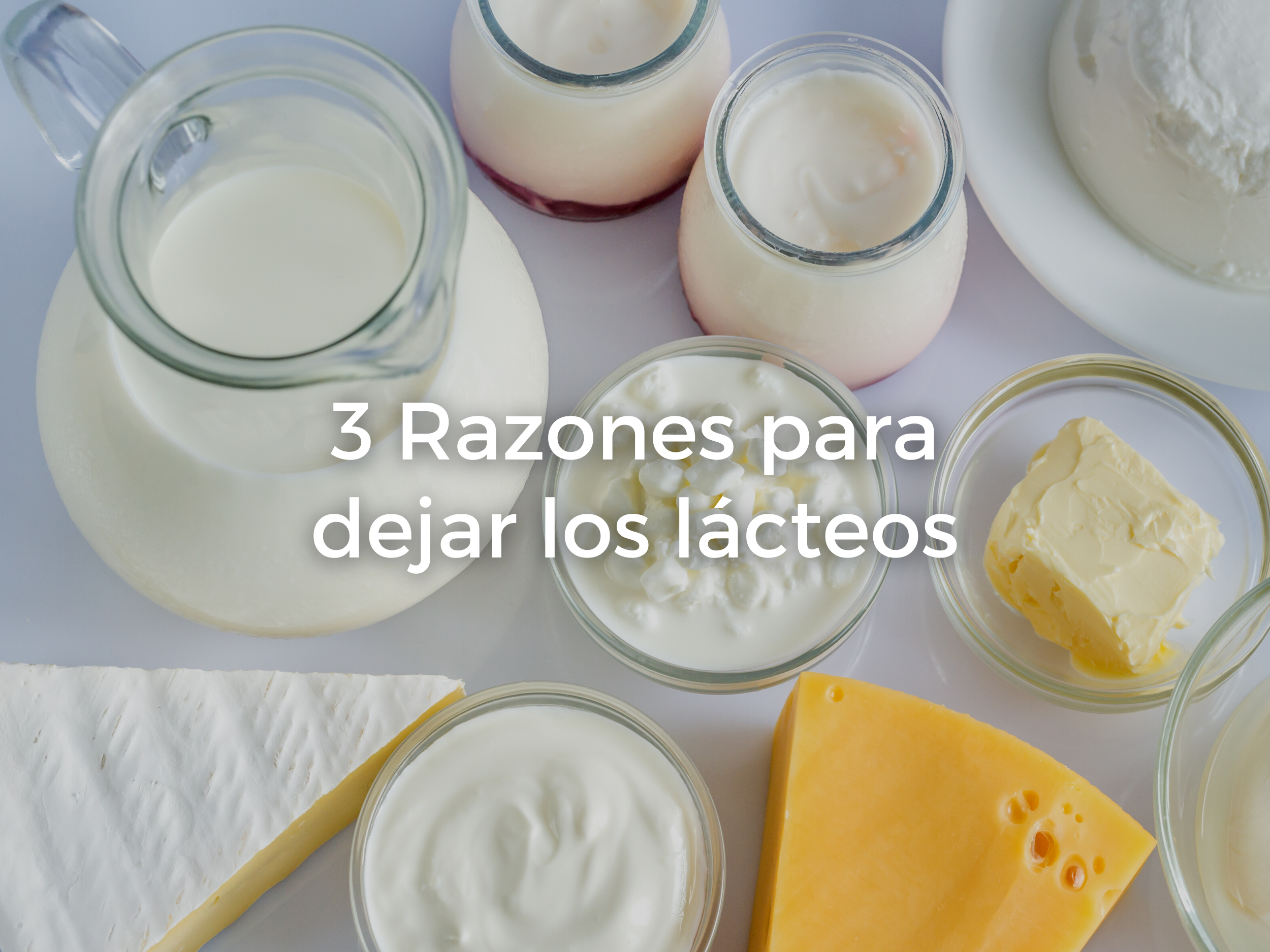 3 Razones para Dejar los Lácteos