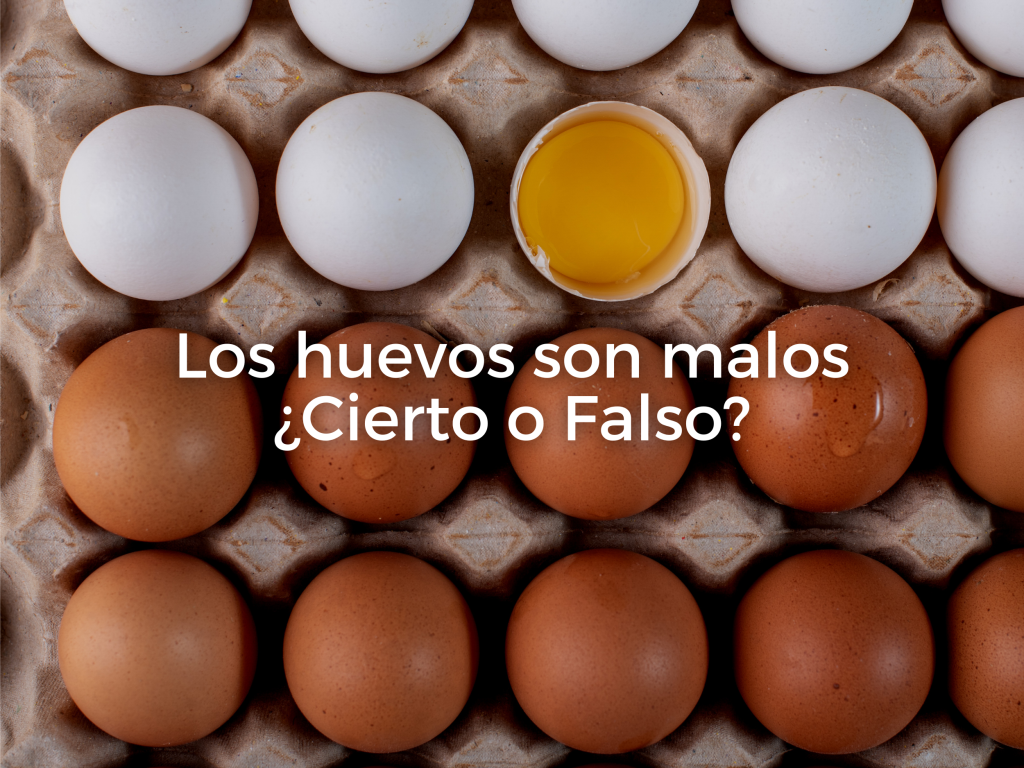 Los Huevos Son Malos ¿Cierto o Falso?