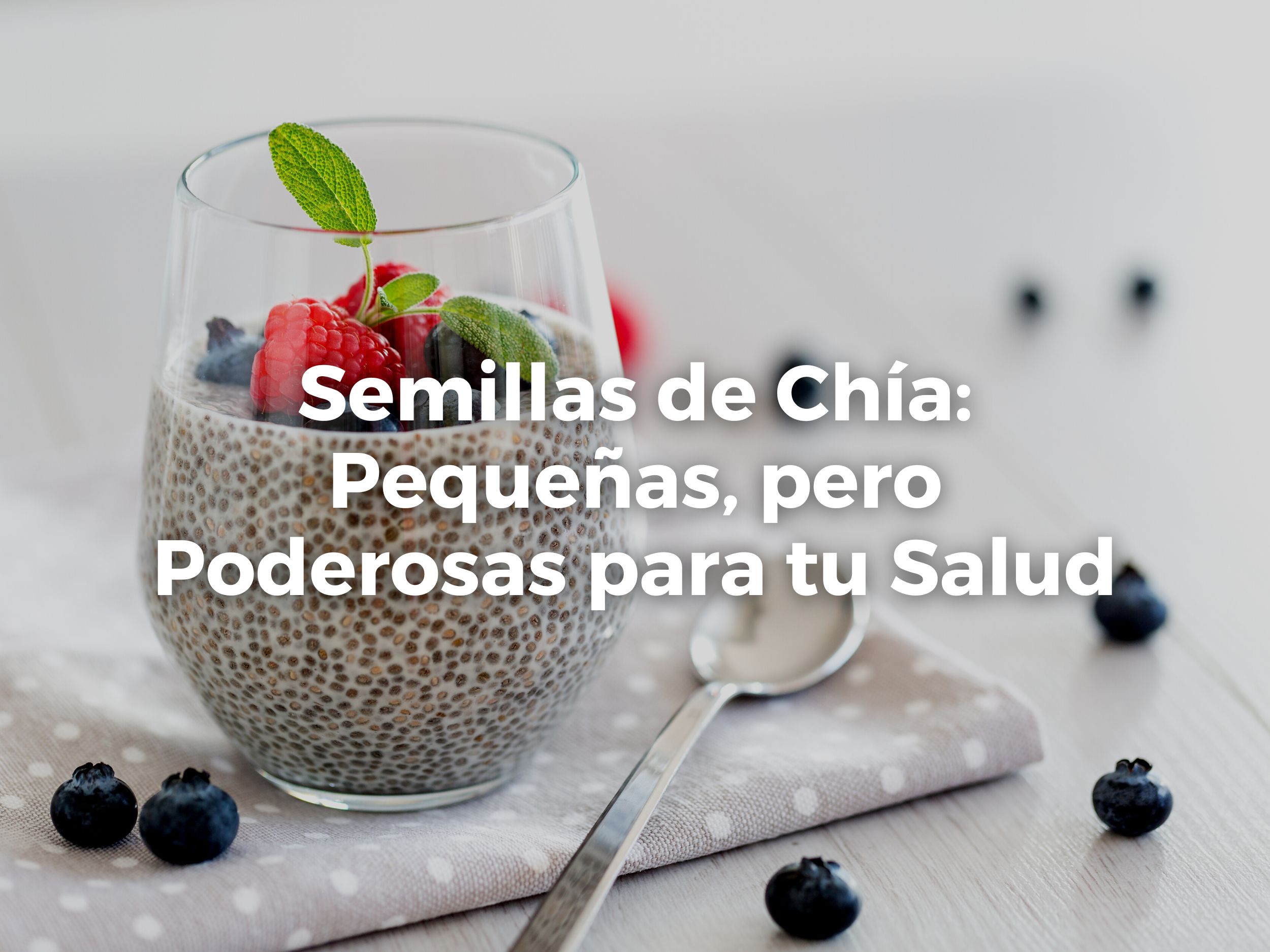 Semillas de Chía: Pequeñas, pero Poderosas para tu Salud