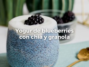 Yogur de blueberries con chía y granola