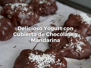 Delicioso Yogurt con Cubierta de Chocolate y Mandarina